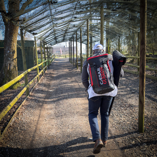 Person walking with a Caesar Carrion backpack in an outdoor setting